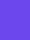 aster purple